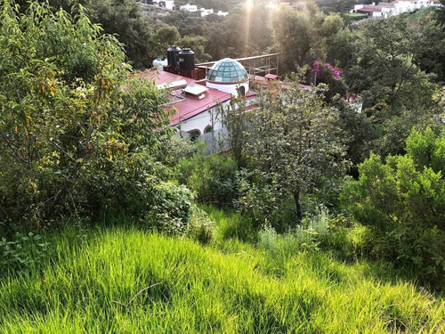Imagen 5 de 6 de Terreno Venta En Condado De Sayavedra