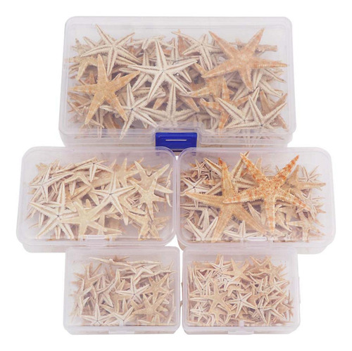 2 Beach Starfish-natural Seashells