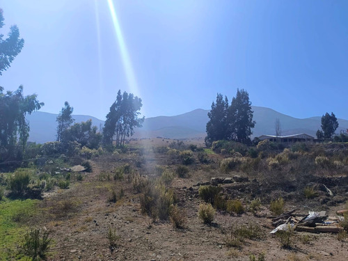 Vive En Este Lindo Lugar (74409)