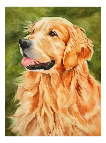 E Artesanato Pintura Diamante Diy 30x40 - Golden Retriever