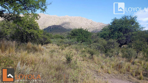 Imagen 4 de 15 de Villa Larca 2 Hectáreas Al Pie De Las Sierras