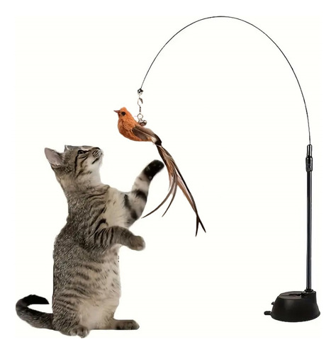 J 1 Pieza De Juguetes Para Gatos, Divertido Pavo