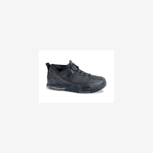 Zapatillas Nike Lebron Zoom 2 Low Black Urbano 310845-001   