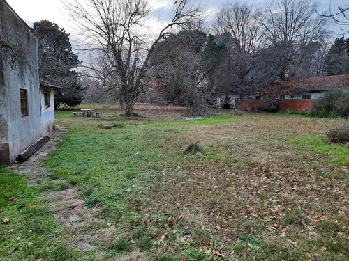 Imagen 3 de 19 de Casa 412 Y 28 3 Dormitorios 2 Baños 2 Cocinas Cochera Parque