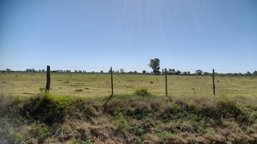 Campo 230 Has En Bella Italia