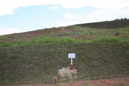 Imagem 1 de 15 de Terreno Comercial À Venda, Sertão Do Maruim, São José. - Te0432
