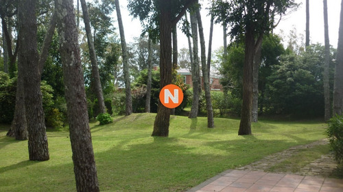 Casa En Venta Y Alquiler, Mansa, Punta Del Este, 5 Dormitorios.- Ref: 206015