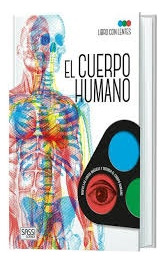 Cuerpo Humano El