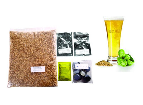 Kit Cerveja Summer Ale - 20l Brewbeer Com Insumos E Receita