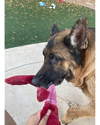 Juguetes Chirriantes Para Perros Sin Relleno Con Forro
