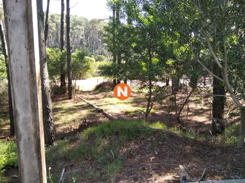 En Venta Terreno De 1070 Mts2, Chihuahua