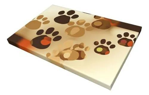 Cuadro De Huellas De Mascotas, Compatible Con Cualquier Ambi