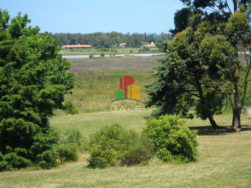 Imagen 8 de 30 de Venta Chacra Punta Del Este - Zona Rural