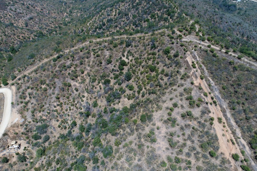 ¡tu Sueño Campestre En Olmué! Terrenos En Condominio Privado