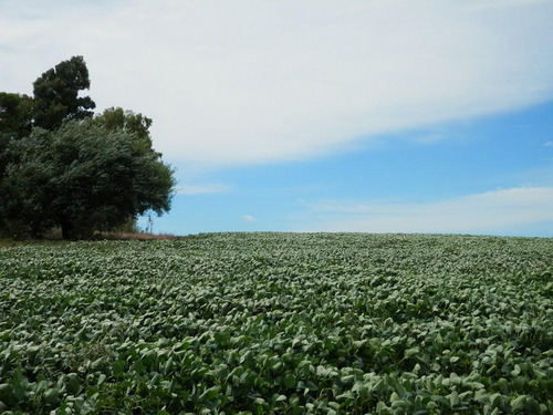 Solis De Mataojo 183ha Agr-gan Sobre Ruta 8