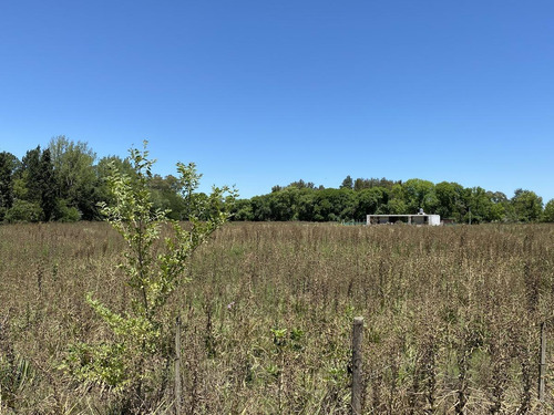 Imagen 10 de 12 de Venta - Lote 1766m2 - Sobre Colectora Ruta 8 El Remanso - Exaltacion De La Cruz