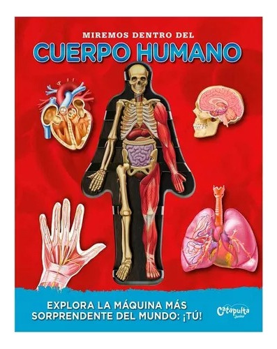 Libro Miremos Dentro Del Cuerpo Humano - Luann Colombo