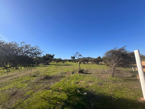 Vendo Parcela A Orilla De Calle En Los Laureles Limache