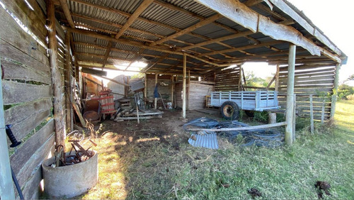 Imagen 30 de 30 de Se Vende Campo De 77 Has En Maldonado. A Pocos Km De Aiguá En Zona De Ruta 39. Ubicación Privilegiada!