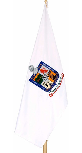 Bandera Blanca Personalizada 60 X 100 Cm Raso