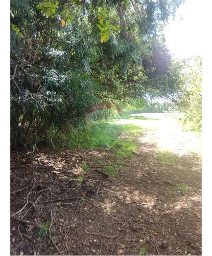 Se Vende Terreno Para Inversion La Union