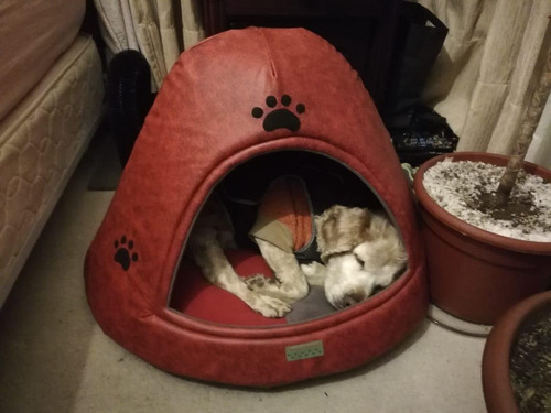 Mascotas Bermontt® Cama Iglú L Rosado Oscuro Con Patita Gris