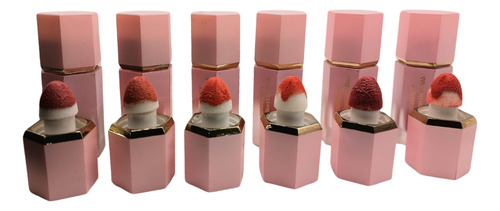 Rubor Líquido Huxiabeauty - Color Intenso Kit 6 Piezas Coral