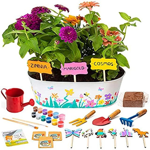 Kit De Plantas Para Niños, Kit De Cultivo De Flores De Pint