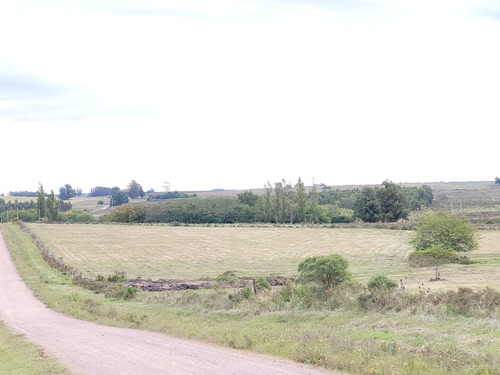 Imagen 3 de 20 de Venta De Hermosas Chacras: Barrio De Chacras El Colorado De Migues Ruta 88 A 10 Km. De Tapia Y 5 De Migues.