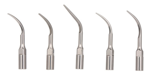 Imagen 6 de 8 de Pájaro Carpintero Consejos De Limpieza Dental Prio Escaler P