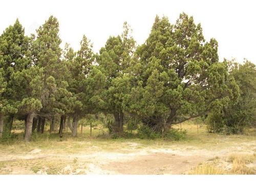 Imagen 6 de 15 de Terreno - Villa Lago Meliquina - 1000m2