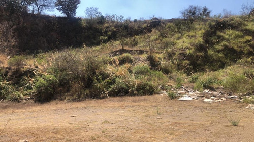 Imagen 4 de 4 de Venta De Terreno En Rancho Blanco