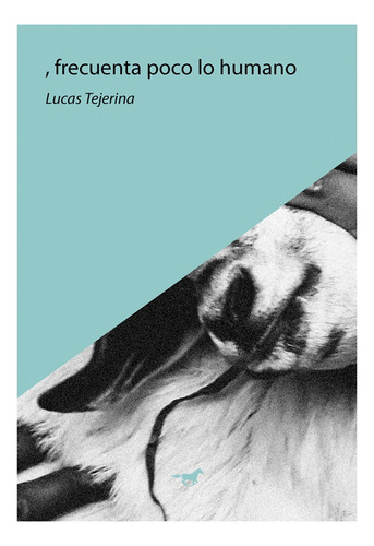 Lucas Tejerina - Frecuenta Lo Poco Humano