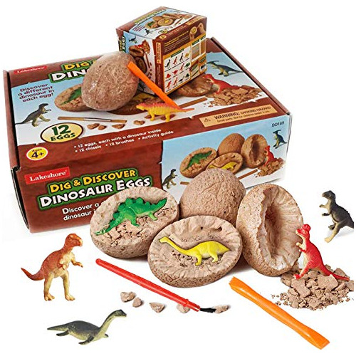 Shellkingdom Dinosaurio 3d Fosil Egg Digging Kit, Bplvt