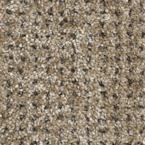 Tapete Para Sala Classe A Haydn 1,50x2,00 São Carlos