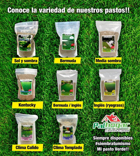Semilla De Pasto Mezcla Germinaplus Clima Templado 10k 400m2
