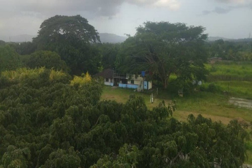 Imagen 16 de 20 de Mg Asein1358 Vende Hermosa Finca Sector El Oasis Vía El Encanto Tocuyito. Municipio Libertador. Estado Carabobo.