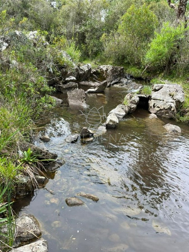 Imagen 2 de 11 de Campo En Carape - Con Hermosa Cañada - Oportunidad !!!!! - Zona Rural