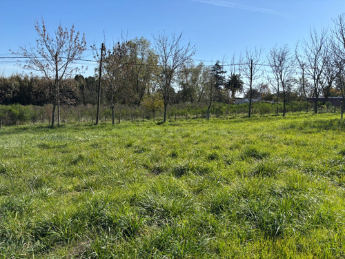 Terreno En Ph En Venta. La Pedrera, Tandil, Cerro Leones