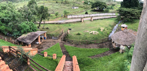 Finca Ganadera En Venta Tinaquillo S/la Pica Anny
