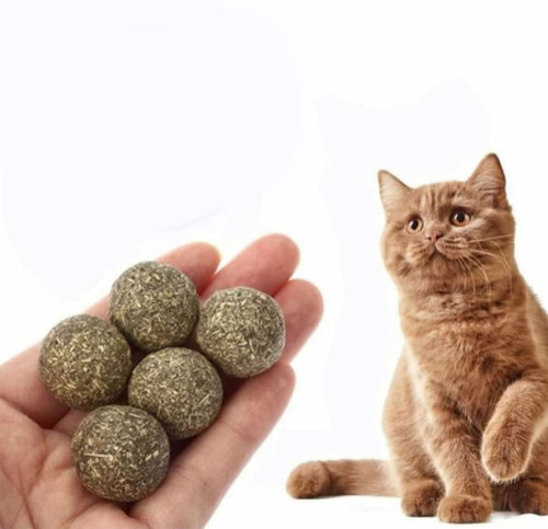 Bola Catnip Natural X 5 Unidades, Juguete Para Gato. | Cuotas sin interés
