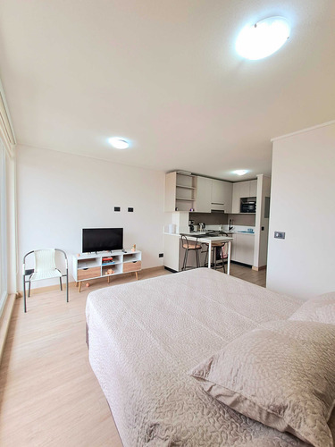 Estupendo Home-studio Amoblado, Centro Ccp. (93046)