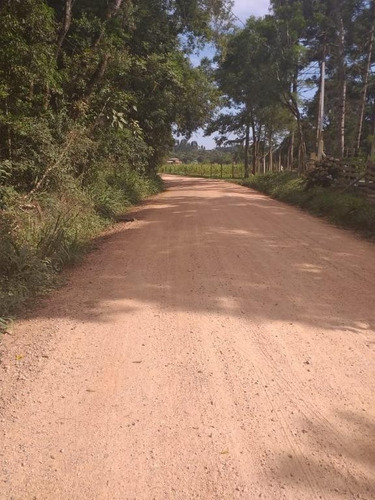 Imagem 15 de 20 de Chacara - Ch00010 - 34796249