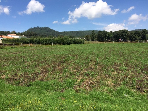 Imagen 9 de 12 de Terreno En Venta