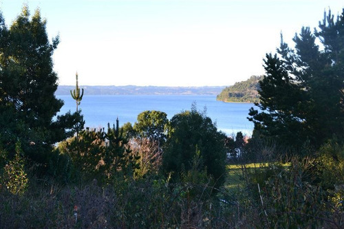Imagen 3 de 10 de Sitio En Venta En Puerto Octay