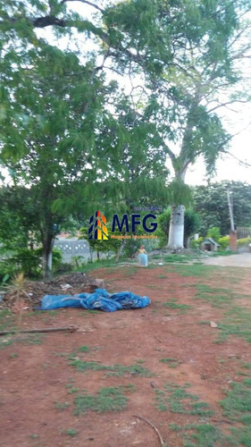 Imagem 11 de 13 de Chácara Em Piedade - 7135
