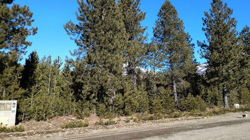 Terreno En Venta - 1.300mts2 - Villa Lago Gutiérrez, San Carlos De Bariloche
