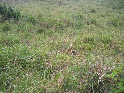 Imagem 5 de 30 de Fazenda - Fa00004 - 67650297