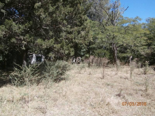 Imagen 18 de 25 de Campo Alto A 60 Km Del Ovelisco 376 Hectareas Con Mejoras