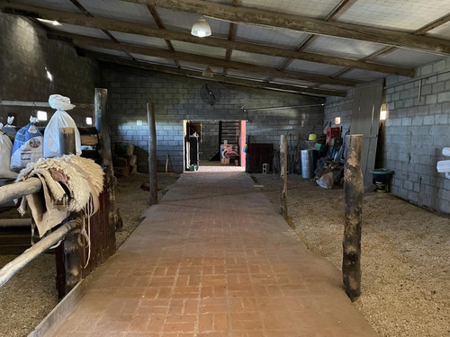 Imagen 19 de 21 de Venta Ideal Inversores (local Gastronimico-caballerizas) - La Reja Sur
